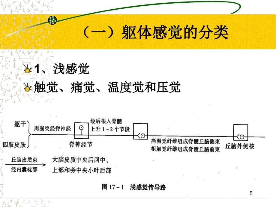 感觉评定ppt参考课件_第5页