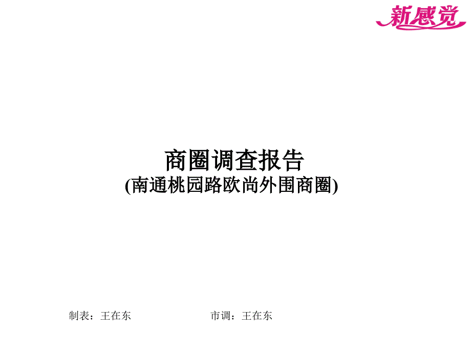 江苏南通桃园路中南世纪城购物广场欧尚外围商圈市场调研报告_第1页