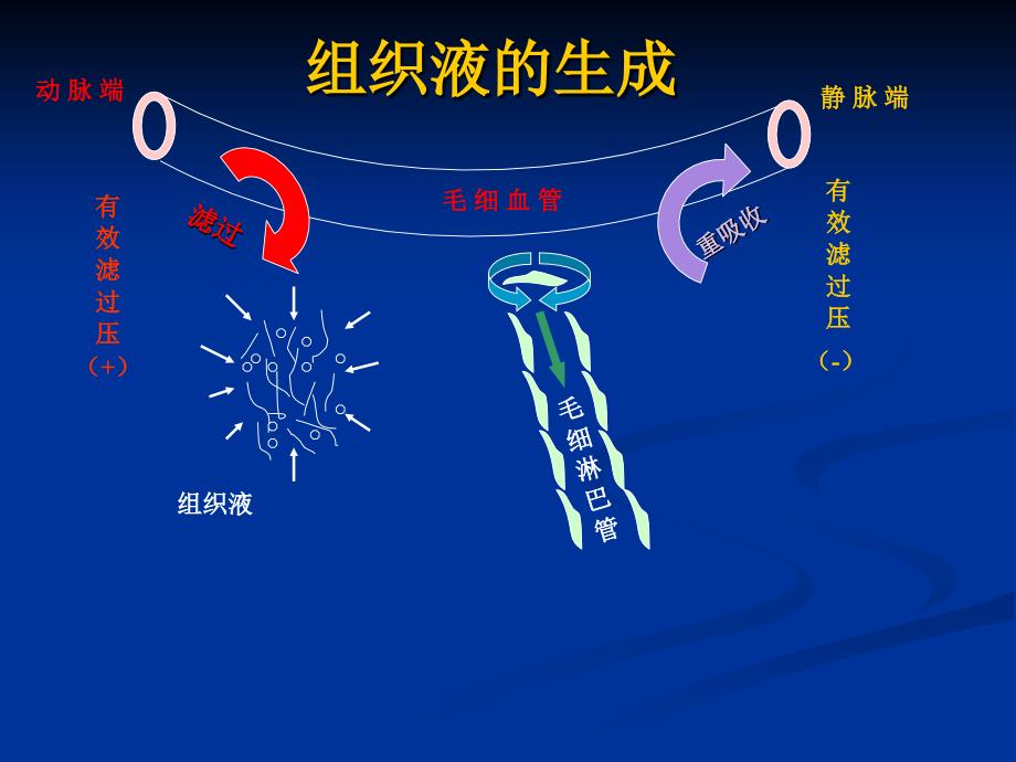 [PPT模板]水肿和意识障碍_第4页