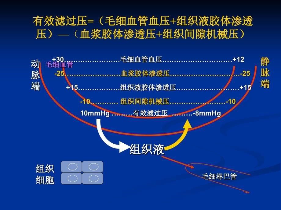 [PPT模板]水肿和意识障碍_第5页