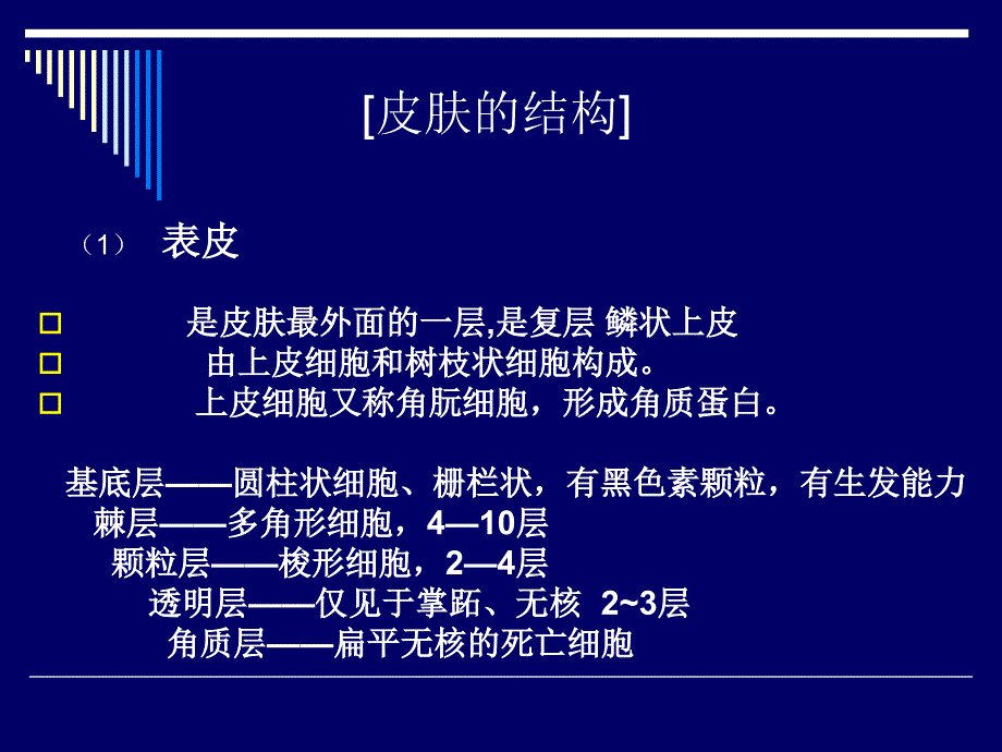 皮肤病西医基础文档资料_第3页