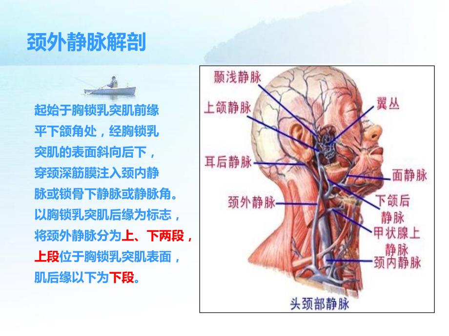 《颈外静脉穿刺》PPT课件.ppt_第3页