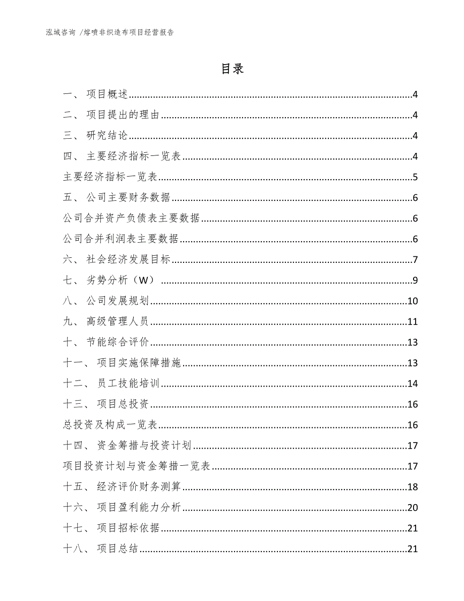 熔喷非织造布项目经营报告_第2页