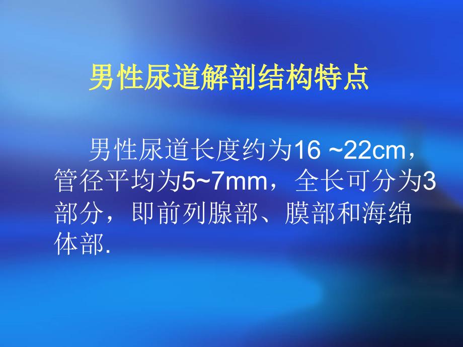 留置导尿管常见问题及护理措施_第3页