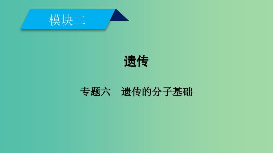 2019高考生物大二轮复习专题六遗传的分子基次件.ppt_第1页