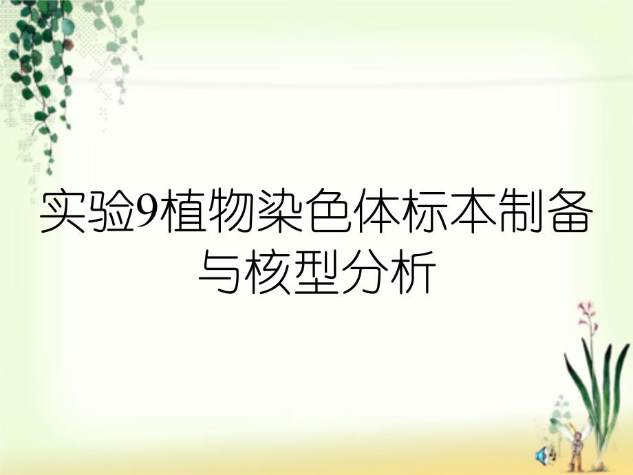 实验9植物染色体标本制备与核型分析课件_第1页