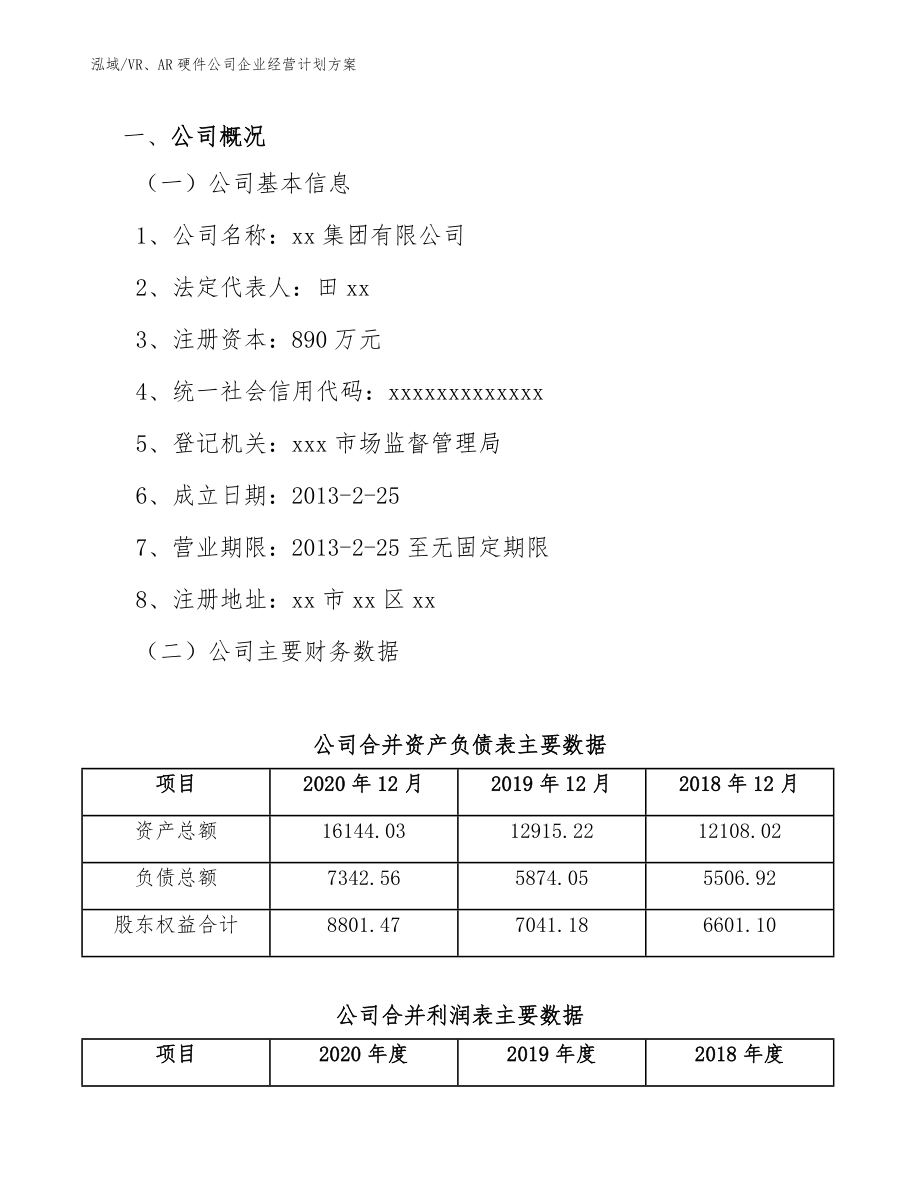 VR、AR硬件公司企业经营计划方案_范文_第3页