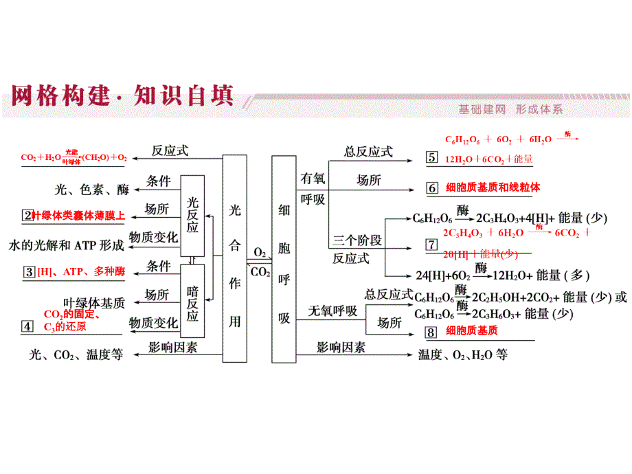 呼吸作用与光合作用小专题_第3页