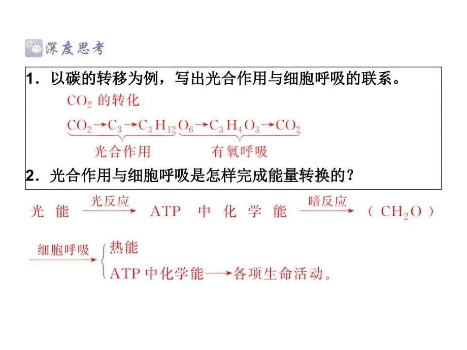 呼吸作用与光合作用小专题_第5页