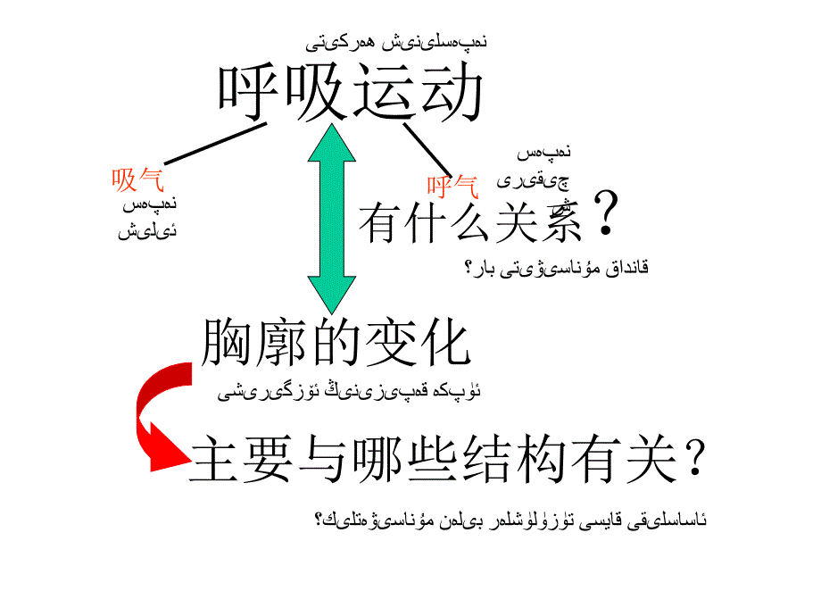 432发生432发生在肺内的气体交换在肺内的气体交换_第4页