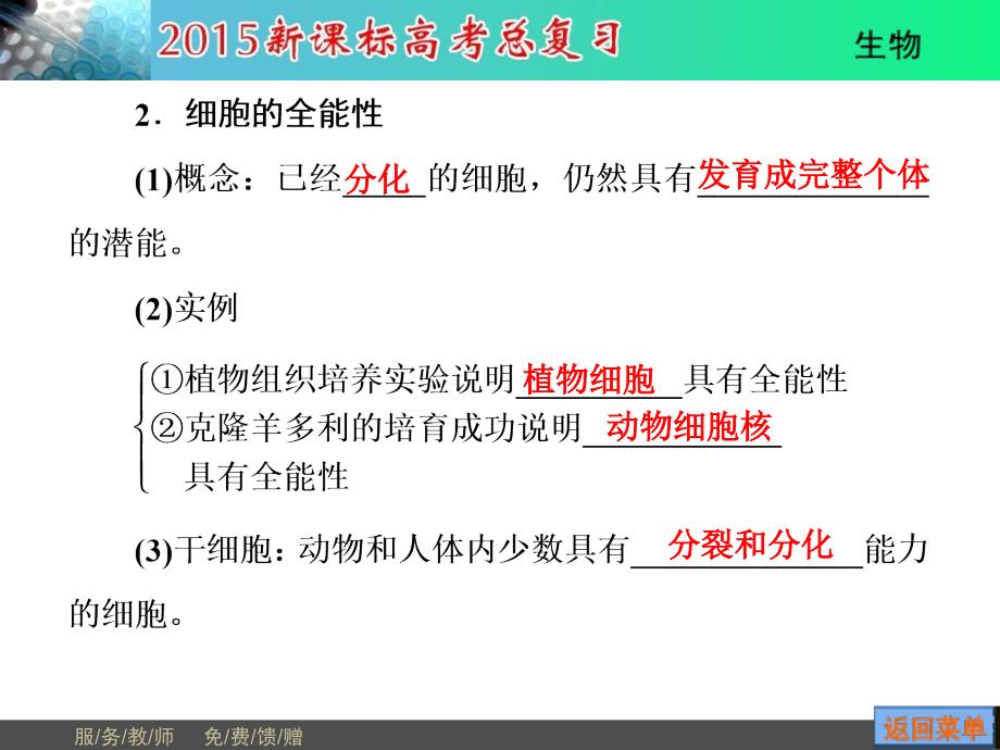 细胞的分化衰老、凋亡和癌变_第4页