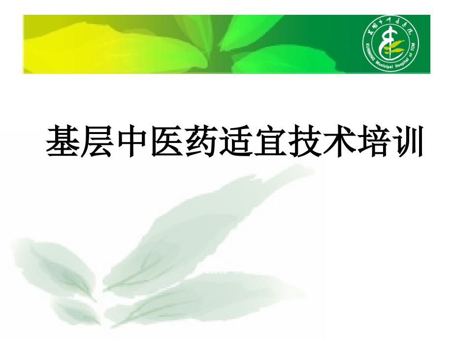 基层中医药适宜技术培训.ppt_第1页