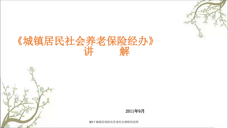 B3于城镇居保险民养老经办规程的说明PPT课件_第1页