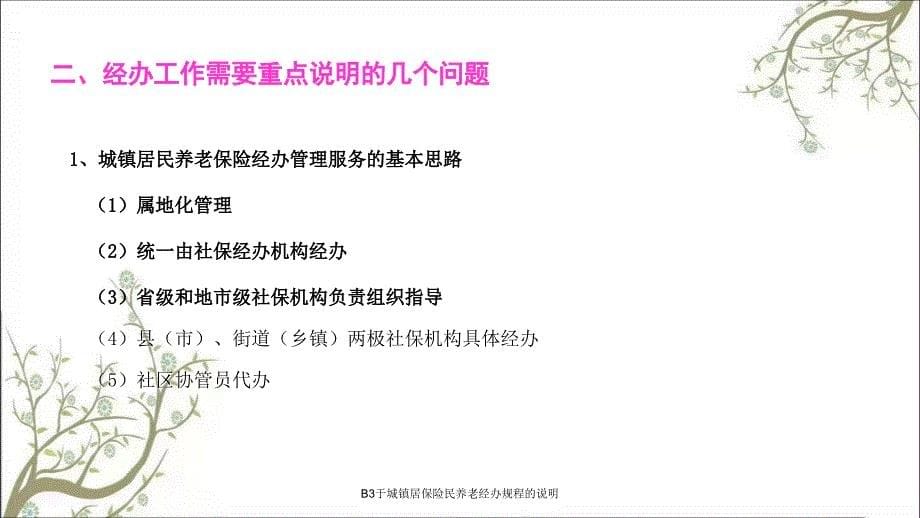 B3于城镇居保险民养老经办规程的说明PPT课件_第5页