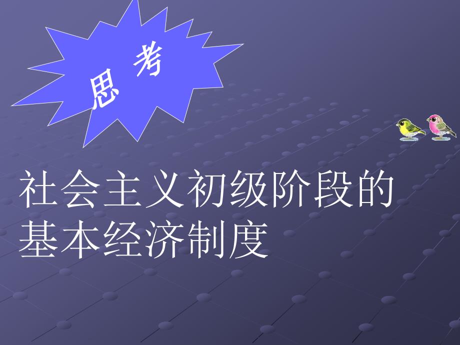 中国特色社会主义经济制度_第3页