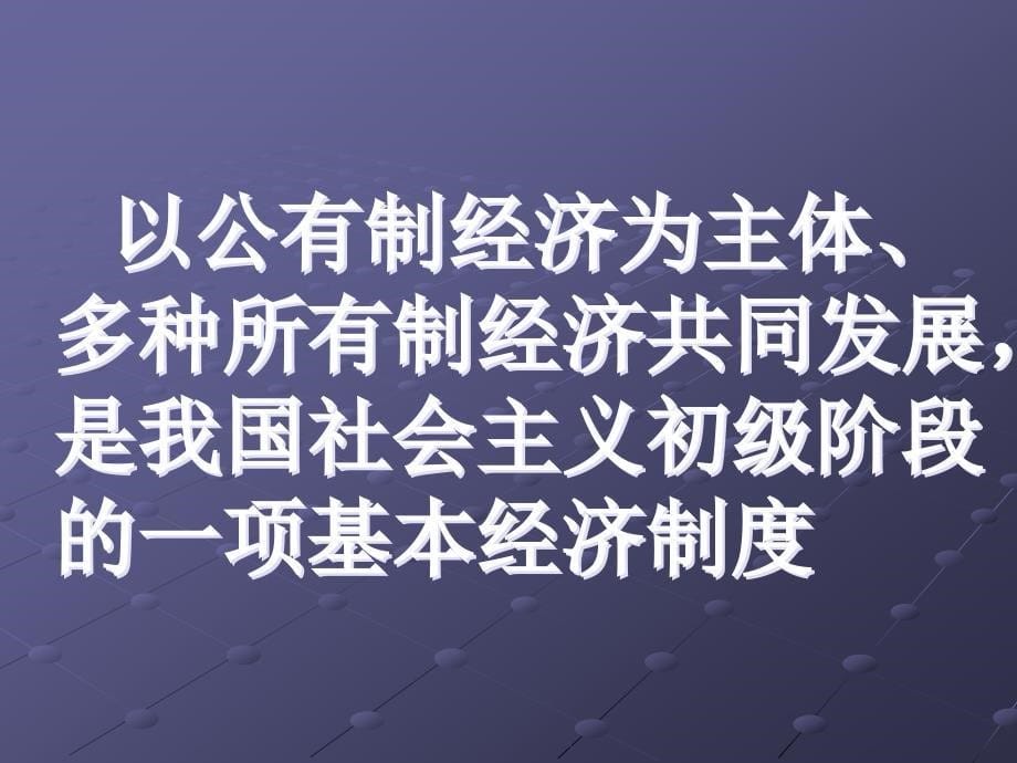 中国特色社会主义经济制度_第5页