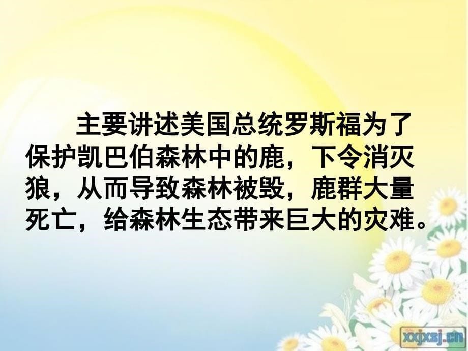 鹿与狼的故事课件_第5页