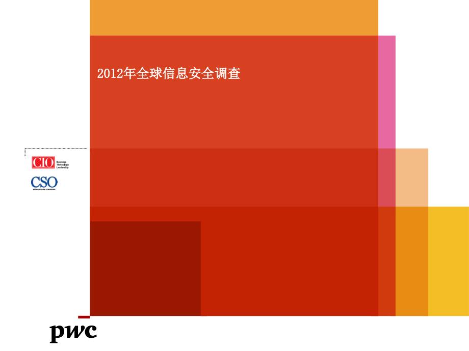 【行业资料】全球信息安全调查_第1页