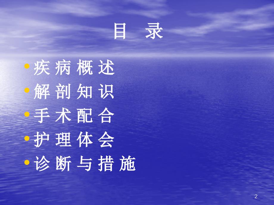 胸腔镜肺大疱切除PPT演示课件_第2页