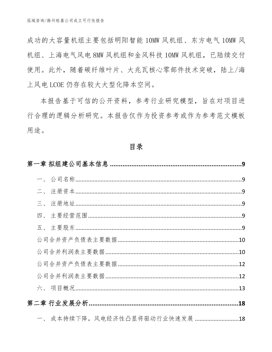 滁州桩基公司成立可行性报告（模板参考）_第3页