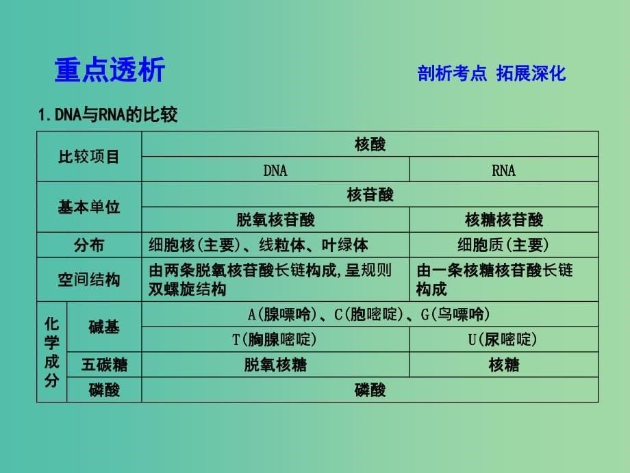 高中生物第一单元走近细胞和组成细胞的分子第4讲细胞中的核酸糖类和脂质课件.ppt_第5页