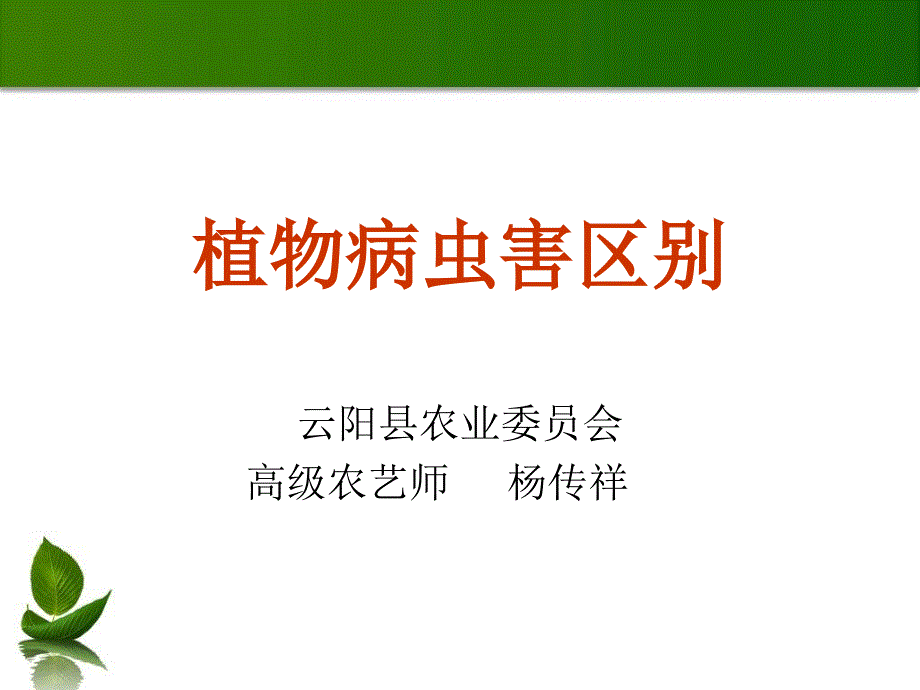 植物病害主要病原物的识别_第1页