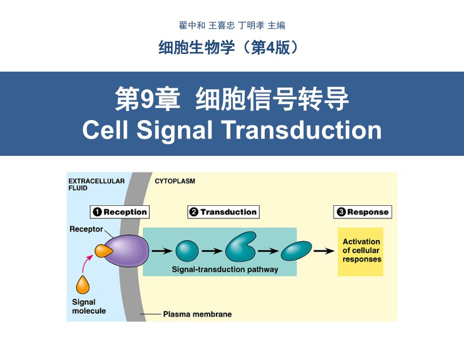 细胞生物学翟中和编第9章细胞信号转导_第1页