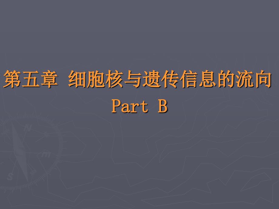 B细胞核与遗传信息的流向.ppt_第1页