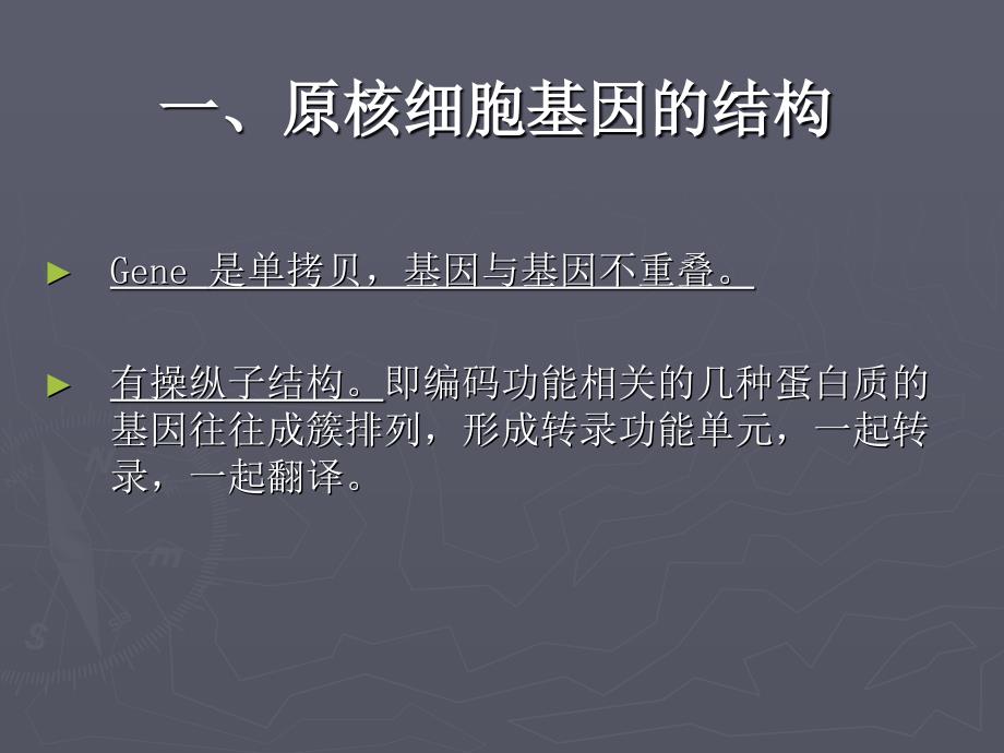 B细胞核与遗传信息的流向.ppt_第4页