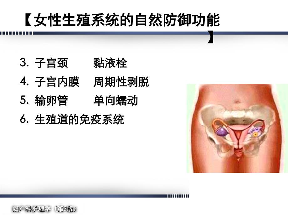 PPT女性生殖系统炎症病人的护理课件_第4页