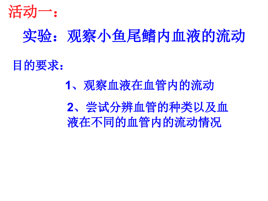 第二节血液的管道——血管_第2页