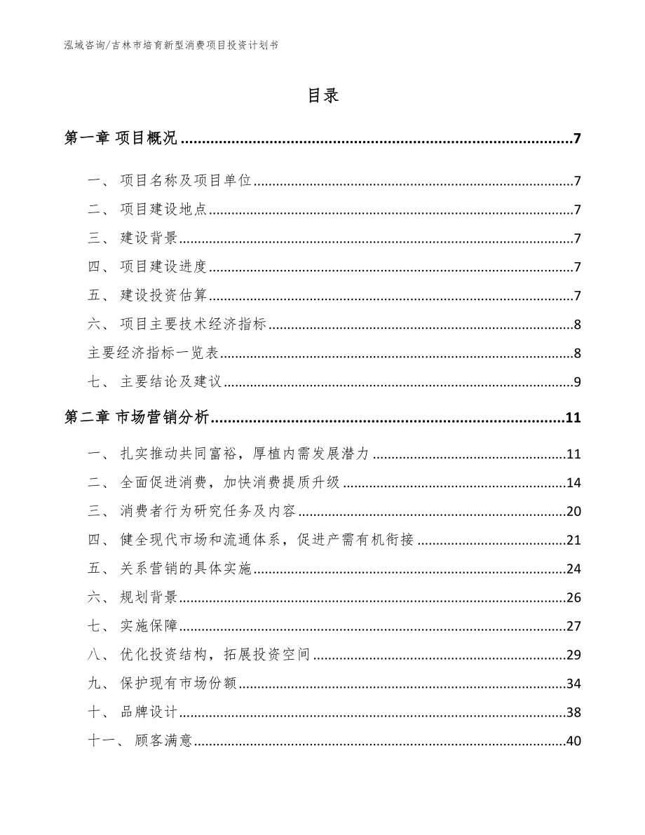 吉林市培育新型消费项目投资计划书（模板参考）_第1页