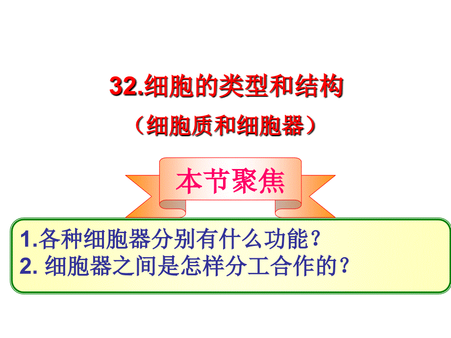 生物必修一苏教版第二节细胞的类型和结构共49张课件_第3页