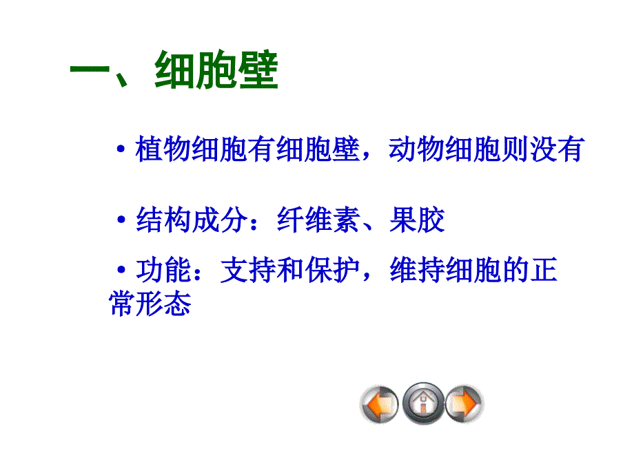 生物必修一苏教版第二节细胞的类型和结构共49张课件_第5页