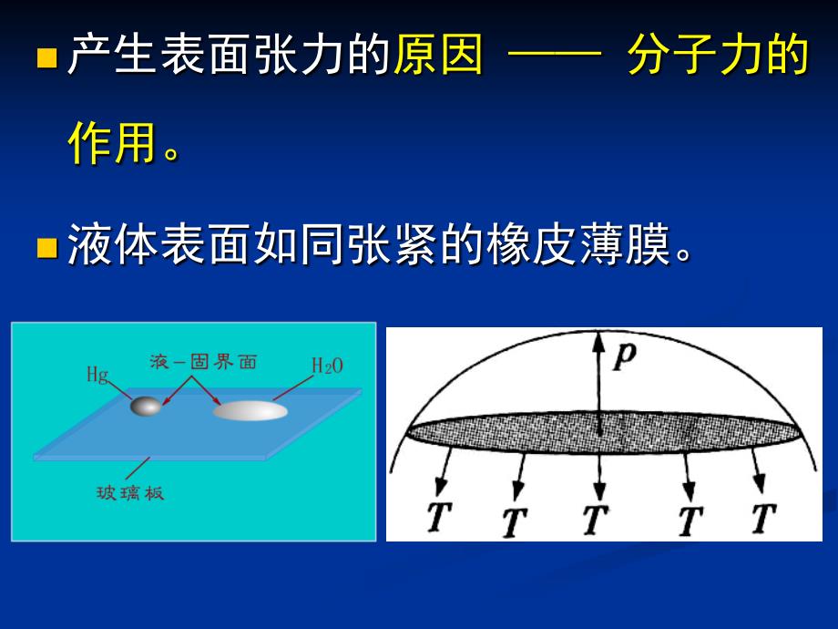 大学物理课件：6-5液体的表面现象_第4页