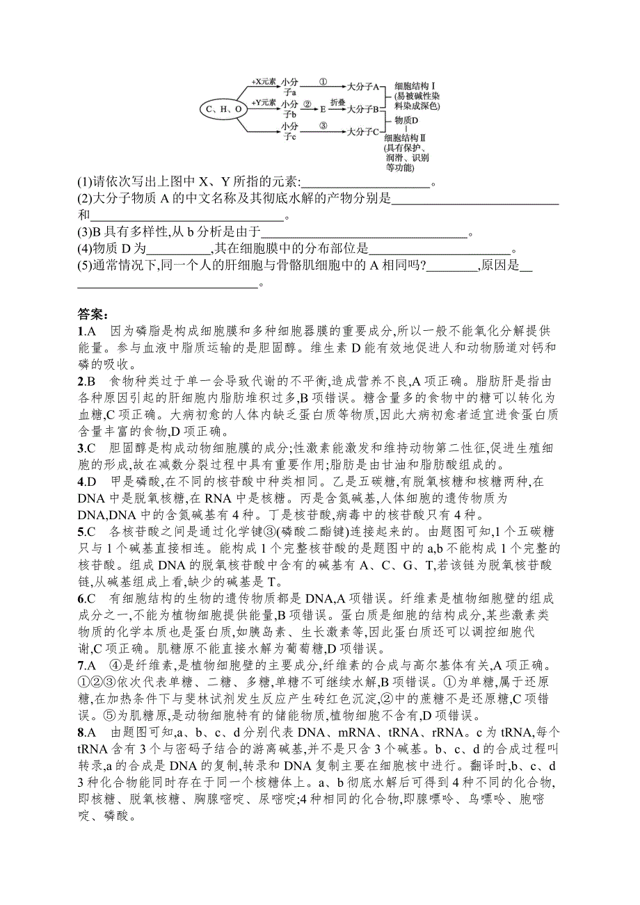 高三一轮复习生物：细胞中的糖类和脂质、核酸是遗传信息的携带者过关训练.docx_第4页