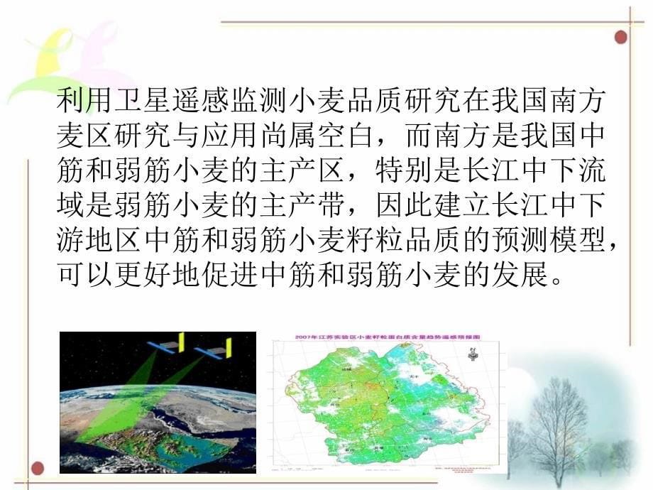 中筋和弱筋小麦籽粒蛋白质含星遥感预测探讨 1011_第5页