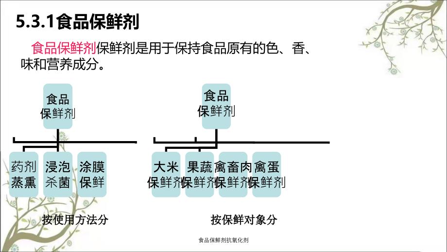 食品保鲜剂抗氧化剂_第2页