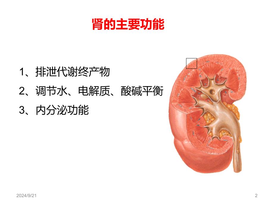 急性肾功能衰竭课件_第2页