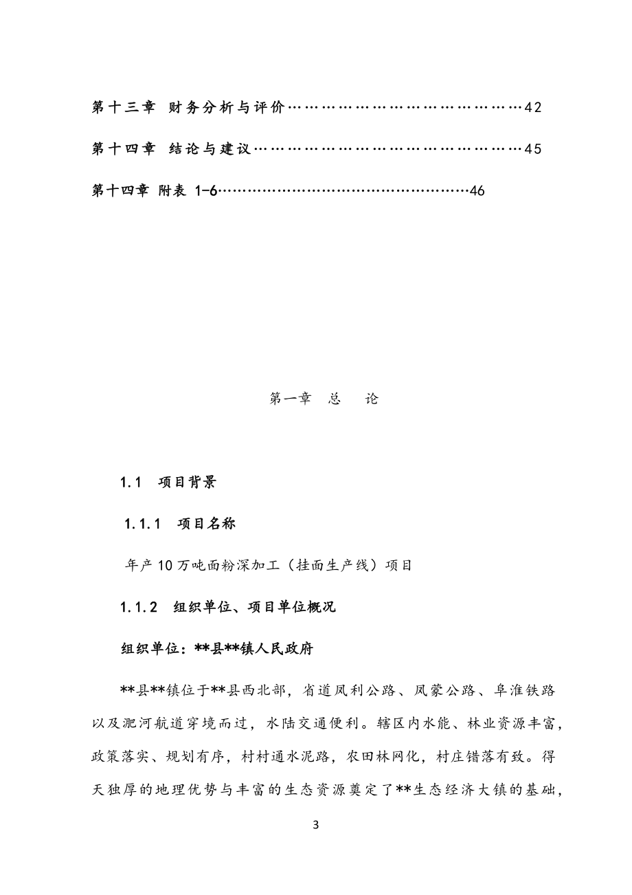 双线挂面生产线建设项目可行性研究报告.docx_第3页