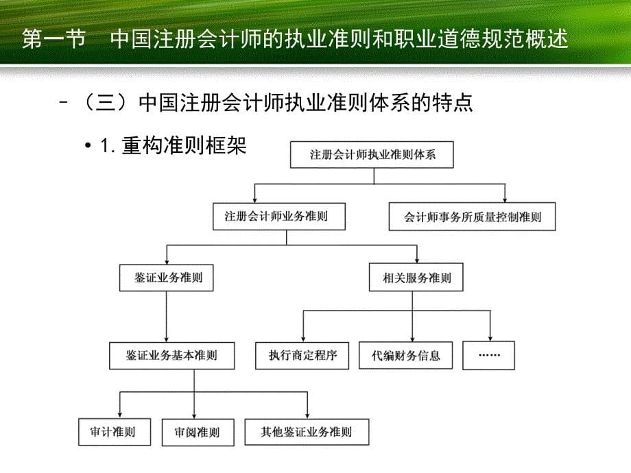 注册会计师的执业准则和职业道德规范_第5页