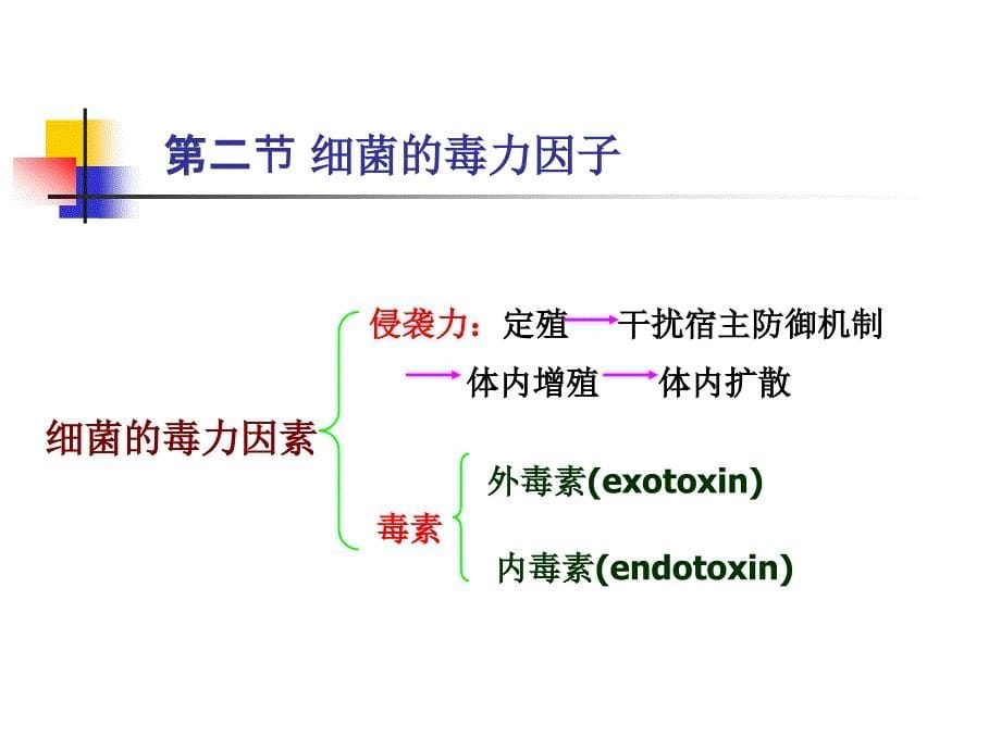 第五章细菌的感染与致病机理名师编辑PPT课件_第5页