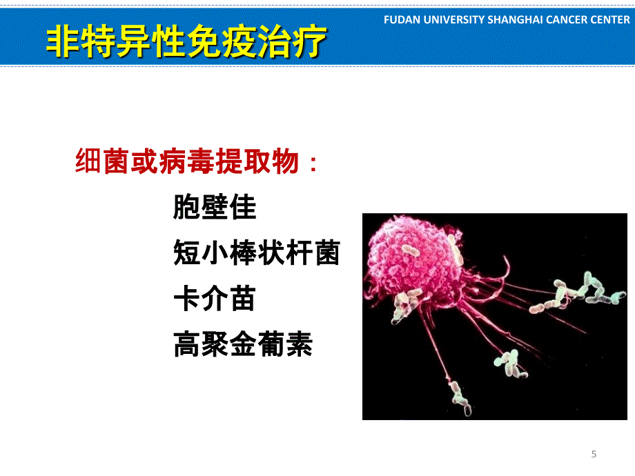 临床肿瘤学学习课件：12.肿瘤的生物治疗_第5页