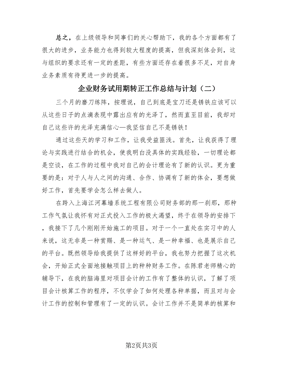 企业财务试用期转正工作总结与计划（2篇）.doc_第2页