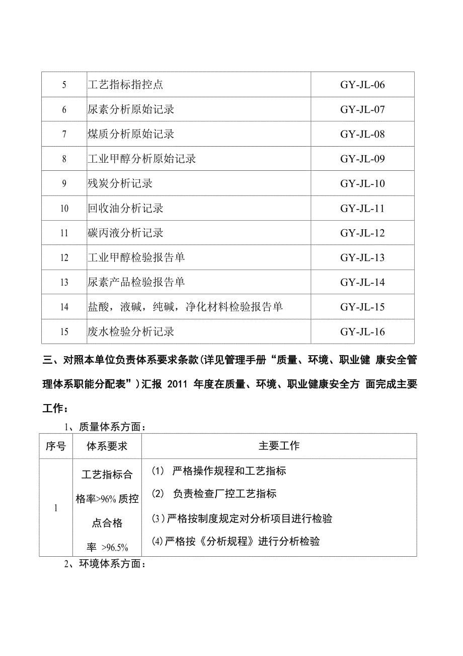 企业内审管理评审输入格式_第5页