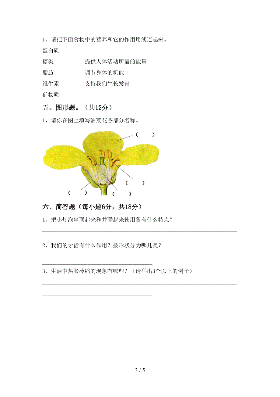 新教科版四年级科学上册期末考试题及答案【免费】.doc_第3页