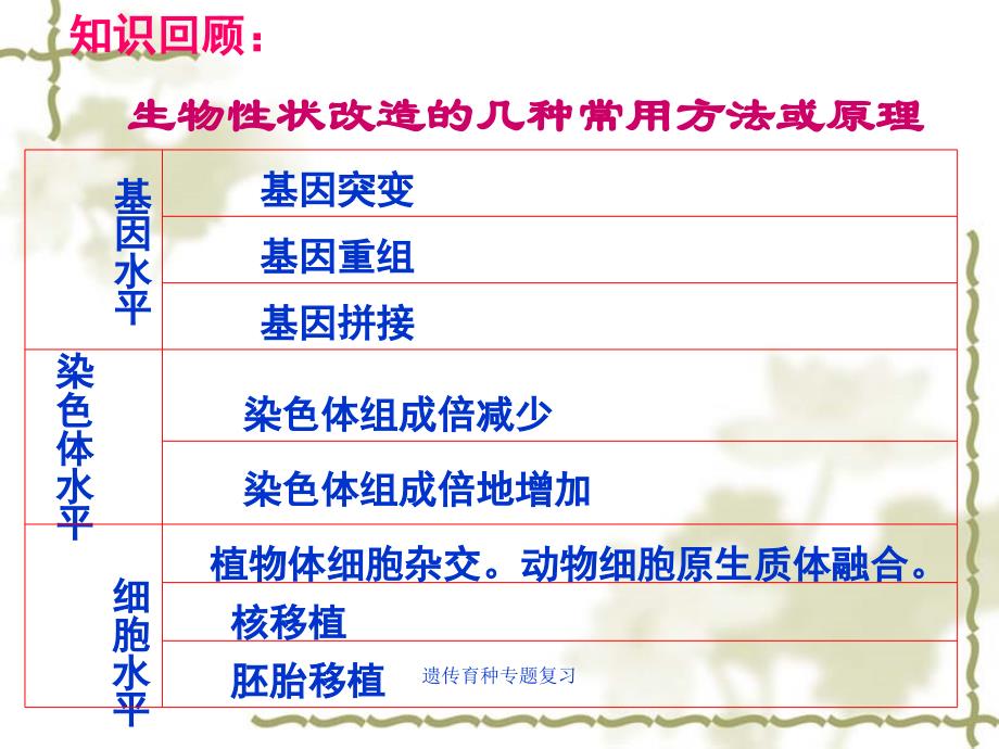 遗传育种专题复习课件_第3页