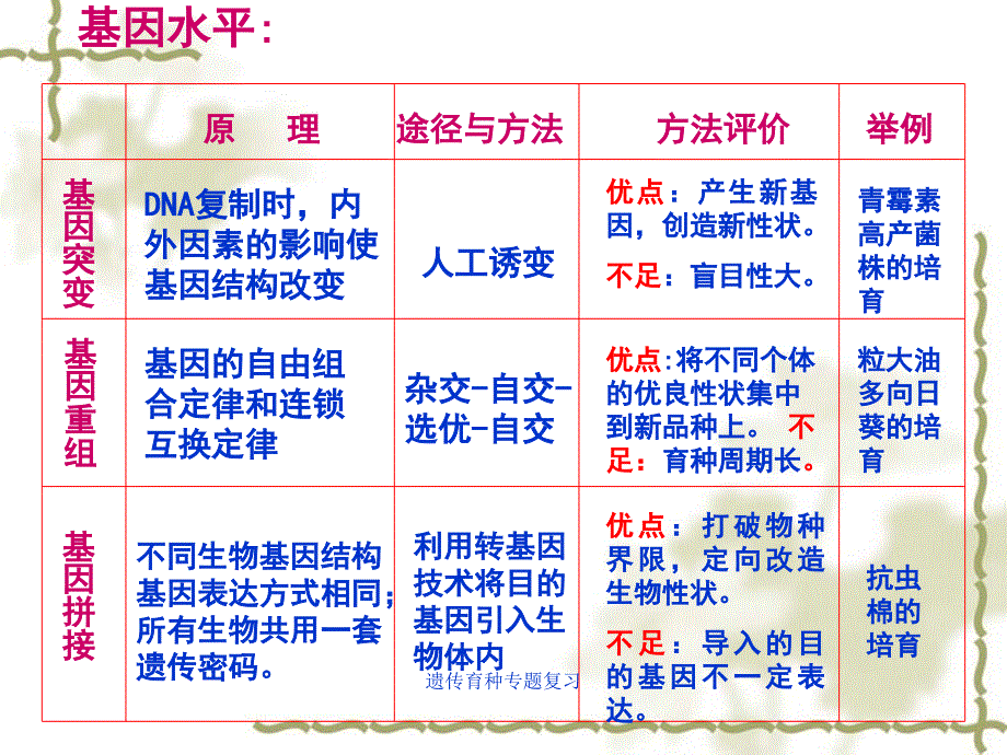 遗传育种专题复习课件_第4页