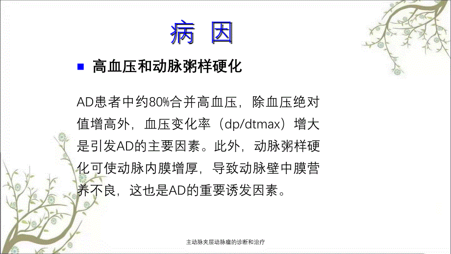 主动脉夹层动脉瘤的诊断和治疗_第3页