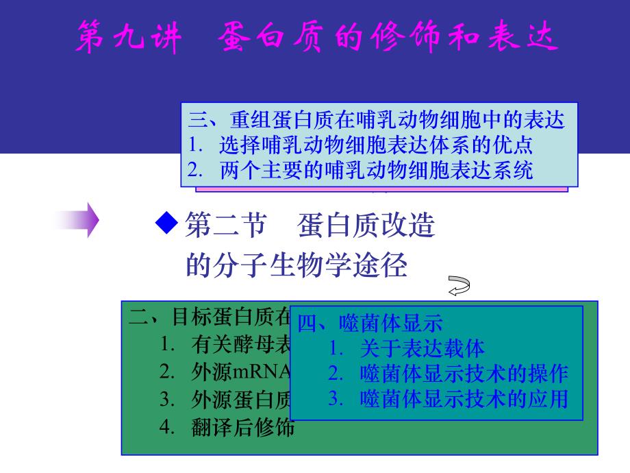 第十讲蛋白质的物理化学性质分析_第3页